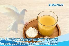 Manfaat Pernafasan Merpati Putih